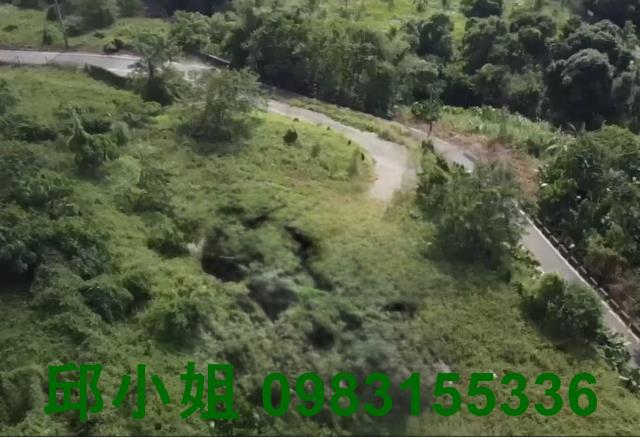 竹崎農地-2