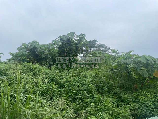 嘉義東區農地-10