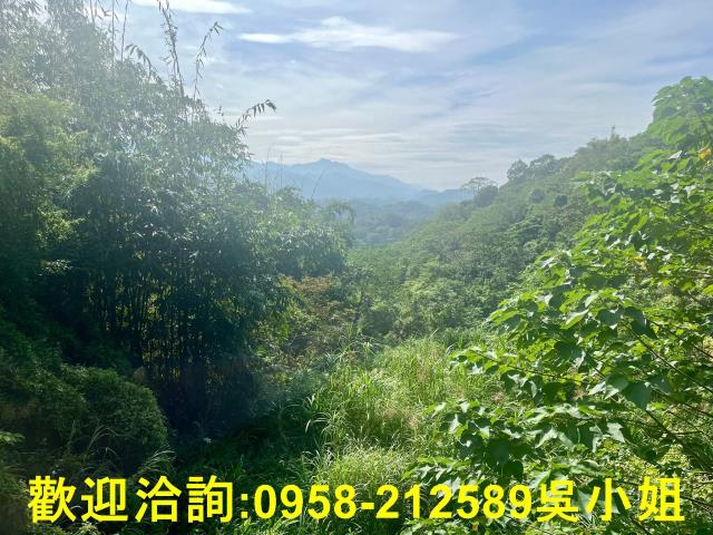 北埔山坡地-1
