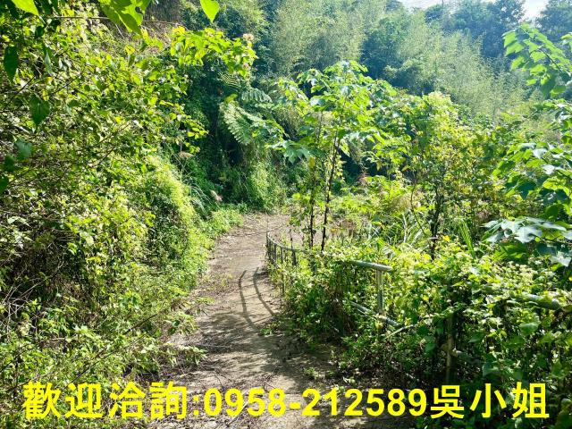 北埔山坡地-3
