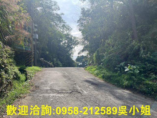北埔山坡地-5