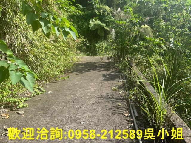 北埔山坡地-8