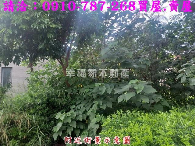 台南建地-5