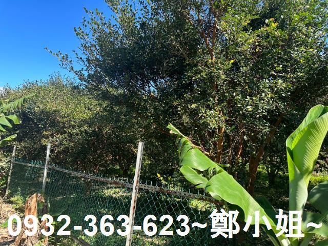 桃園農地-4