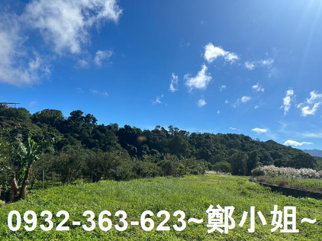 桃園農地-7