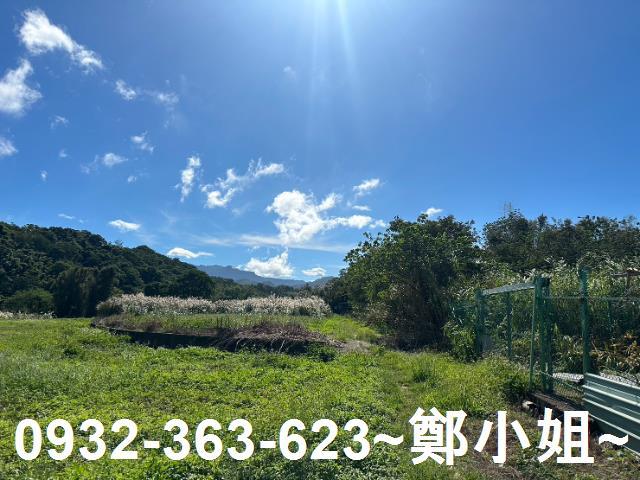 桃園農地-8