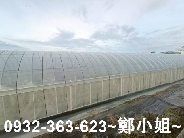 桃園八德農地-4