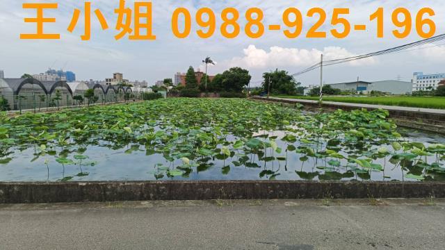 蘆竹農地-10