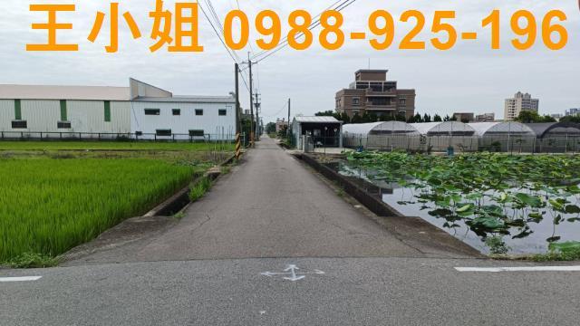 蘆竹農地-2