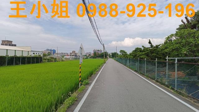 蘆竹農地-4