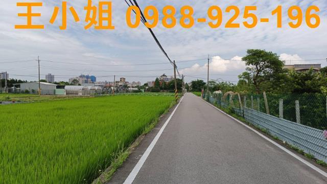 蘆竹農地-5