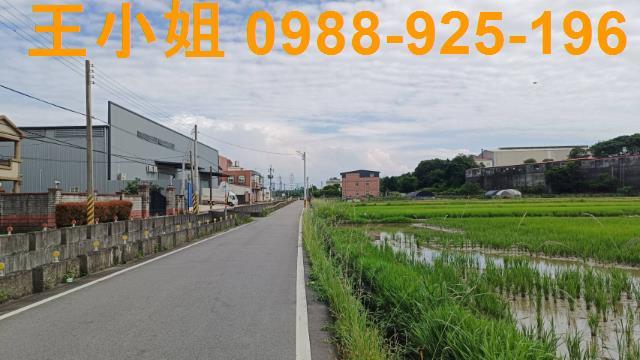 蘆竹農地-7