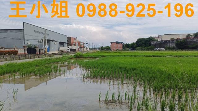蘆竹農地-9