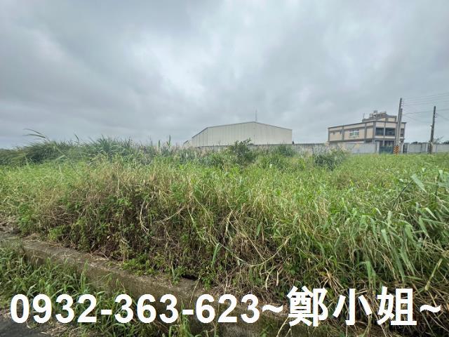 桃園觀音農地-2