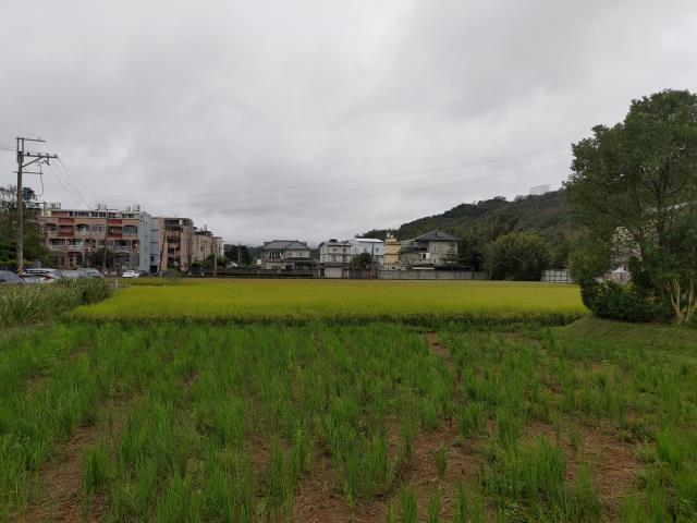 龍潭建地-1