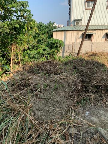 東區農地-9