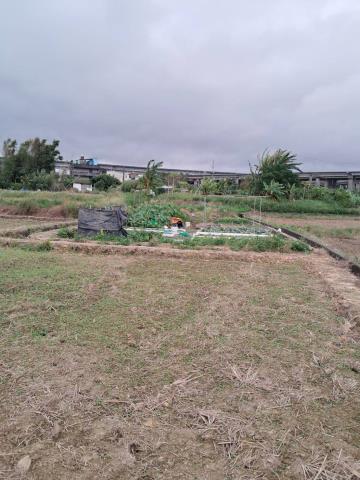 桃園平鎮農地-5