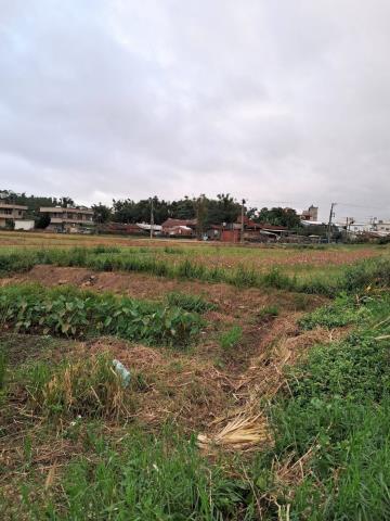 桃園平鎮農地-6