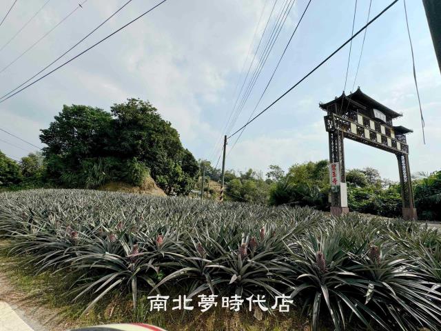 台南龍崎農地-1