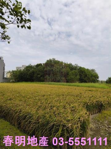 新竹北區農地-5