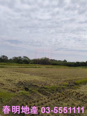 新竹北區農地-7