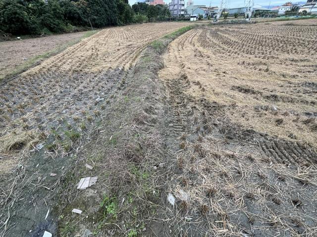 台中大雅農地-4