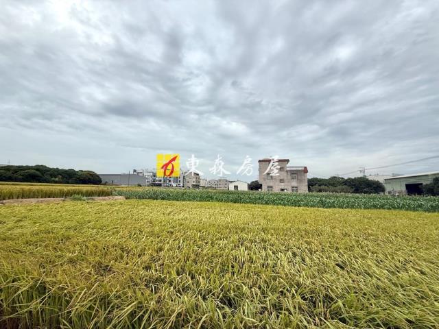 台中大雅農地-2