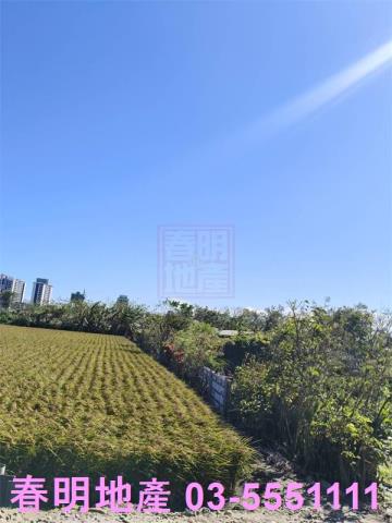北區農地-6