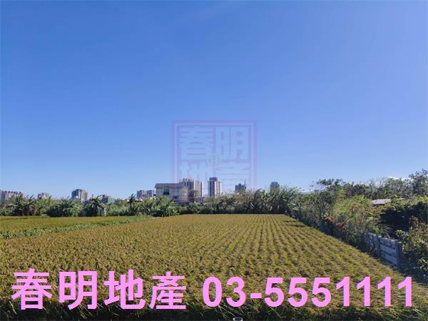 北區農地-7