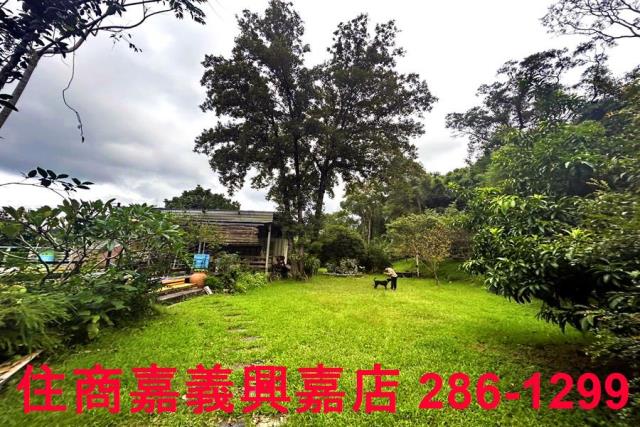 新竹竹東農地-8