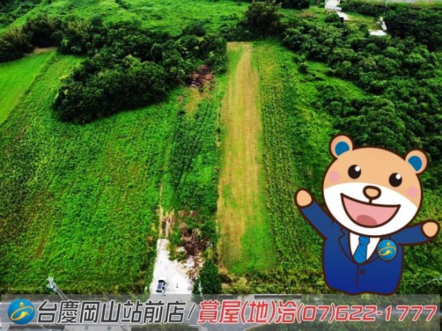 高雄阿蓮農地-1