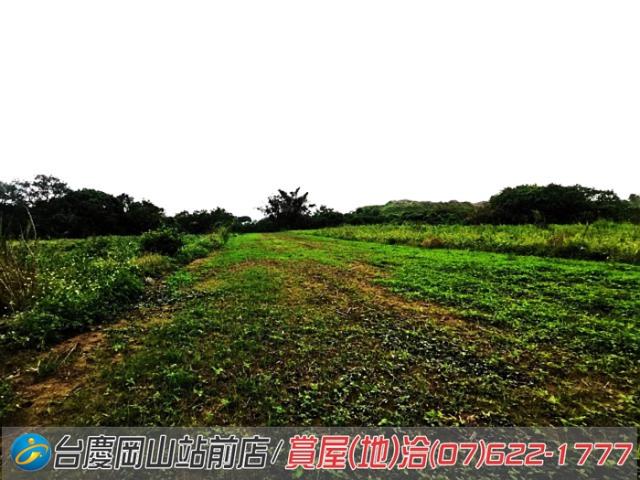高雄阿蓮農地-9