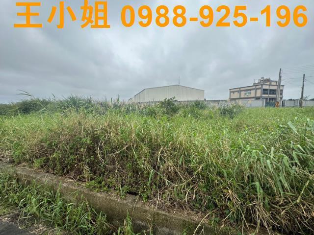 觀音農地-4