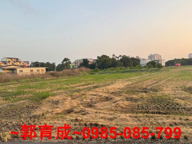 西區農地-2