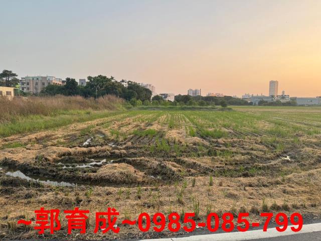 西區農地-3