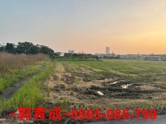 西區農地-4