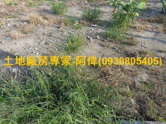 高雄農地-1