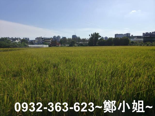 桃園桃園區農地-10