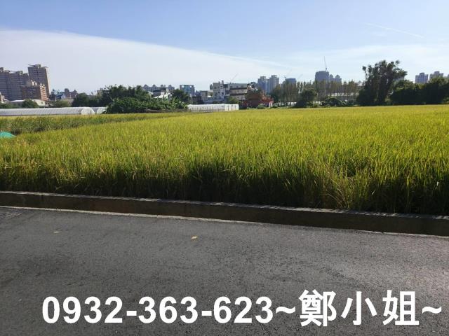 桃園桃園區農地-12