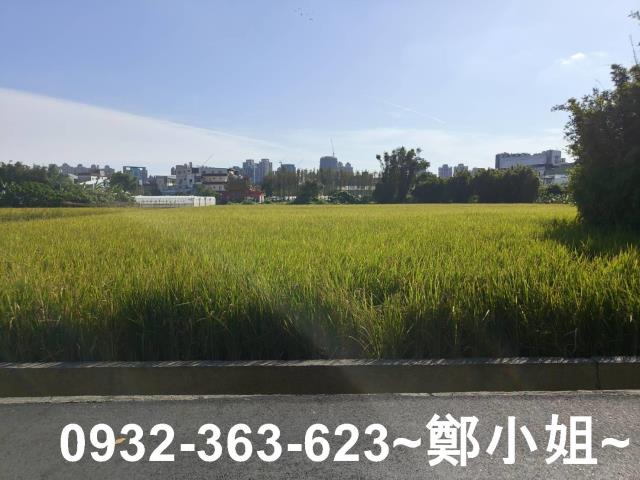 桃園桃園區農地-13