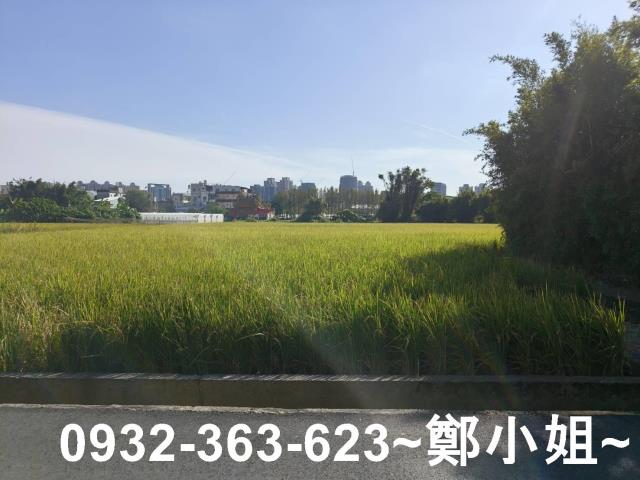 桃園桃園區農地-14