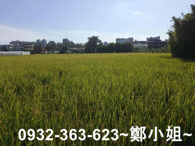 桃園桃園區農地-7