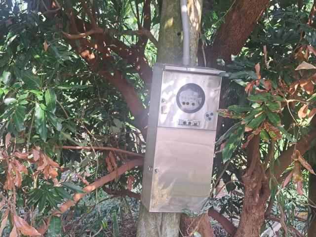中埔農地-7