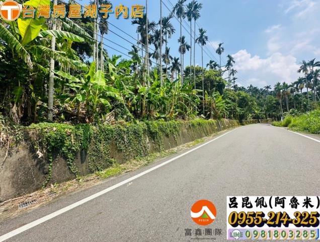 嘉義農地-3