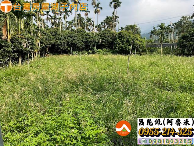 嘉義農地-3