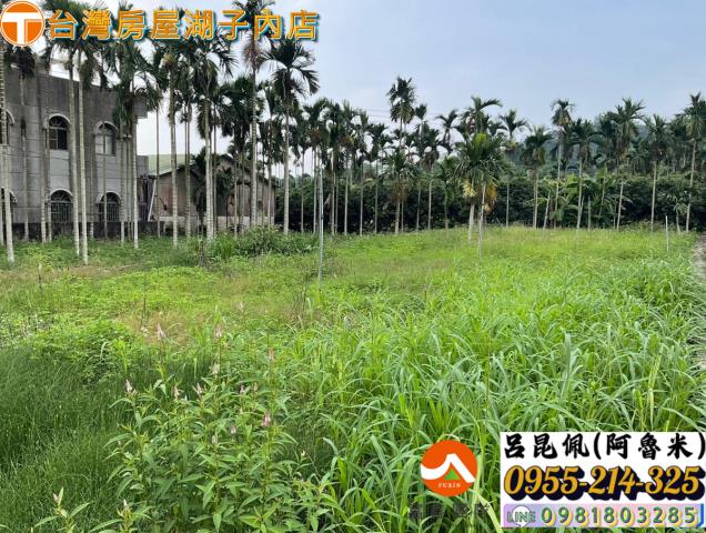 嘉義農地-6