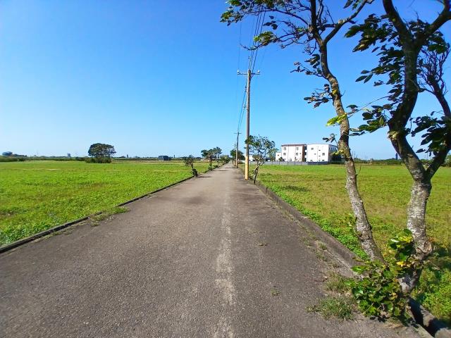 桃園新屋農地-3