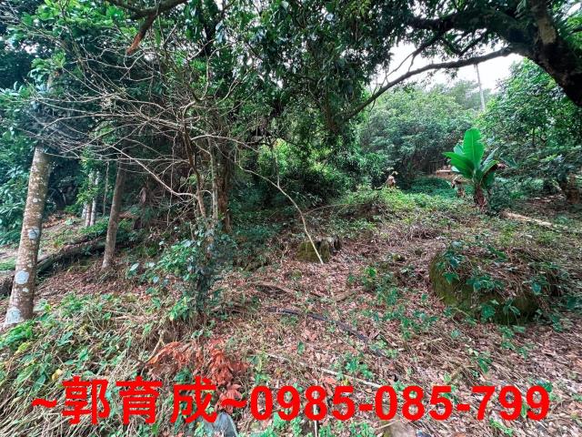 竹崎農地-4