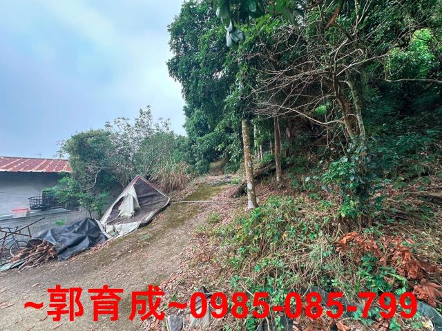 竹崎農地-5