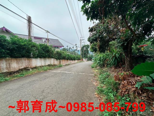 竹崎農地-6